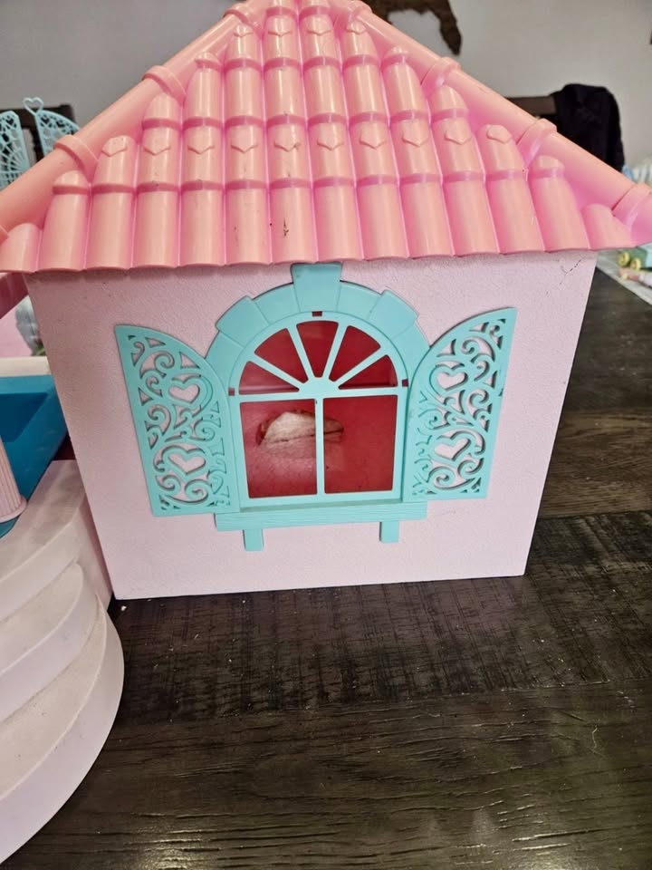 HABRO's My Little Pony G1Y4 'Paradise Estate' Play Set - 1986